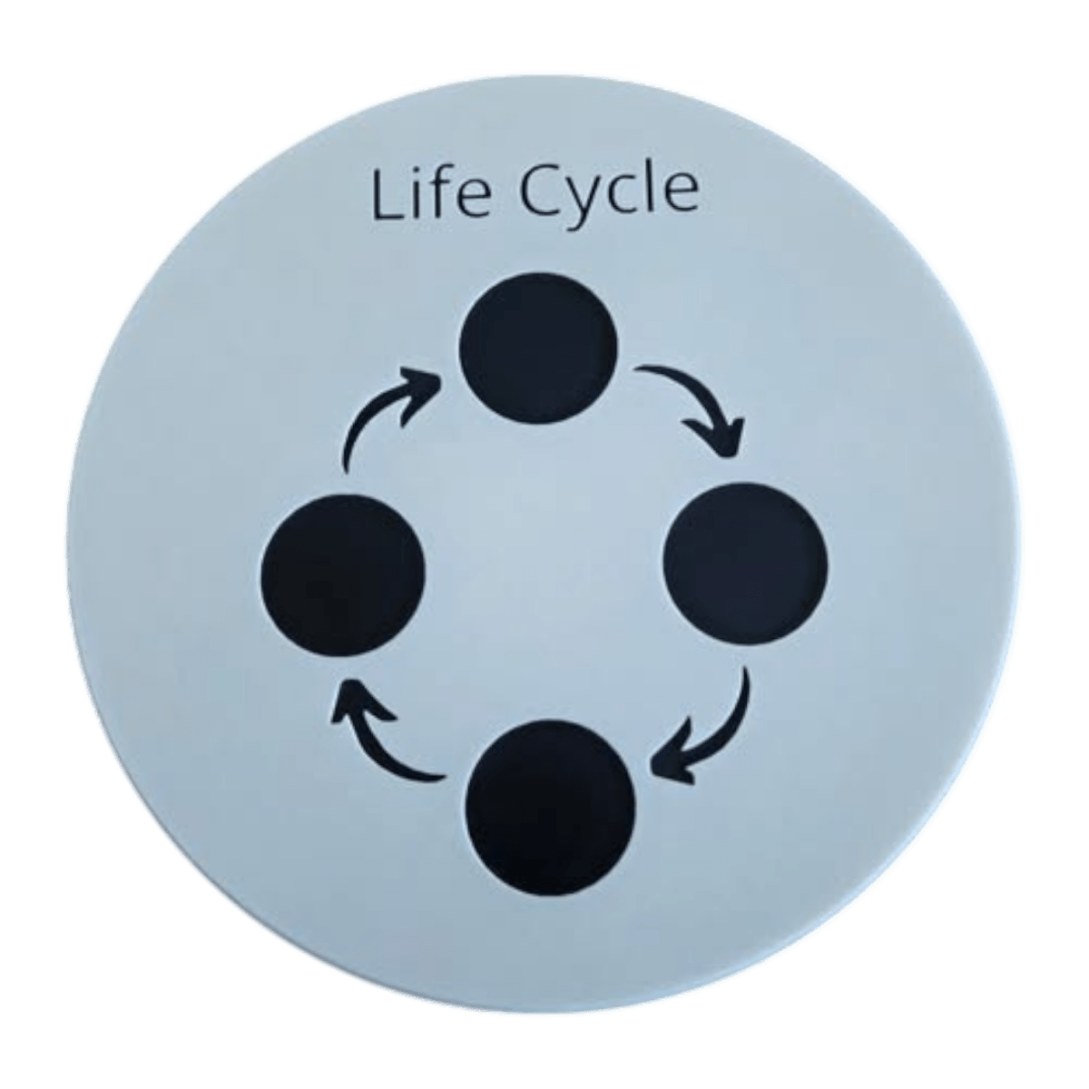 NEW - Circle Play Tray + Inserts + Life Cycle Lid - CJECOPLAY Inc.