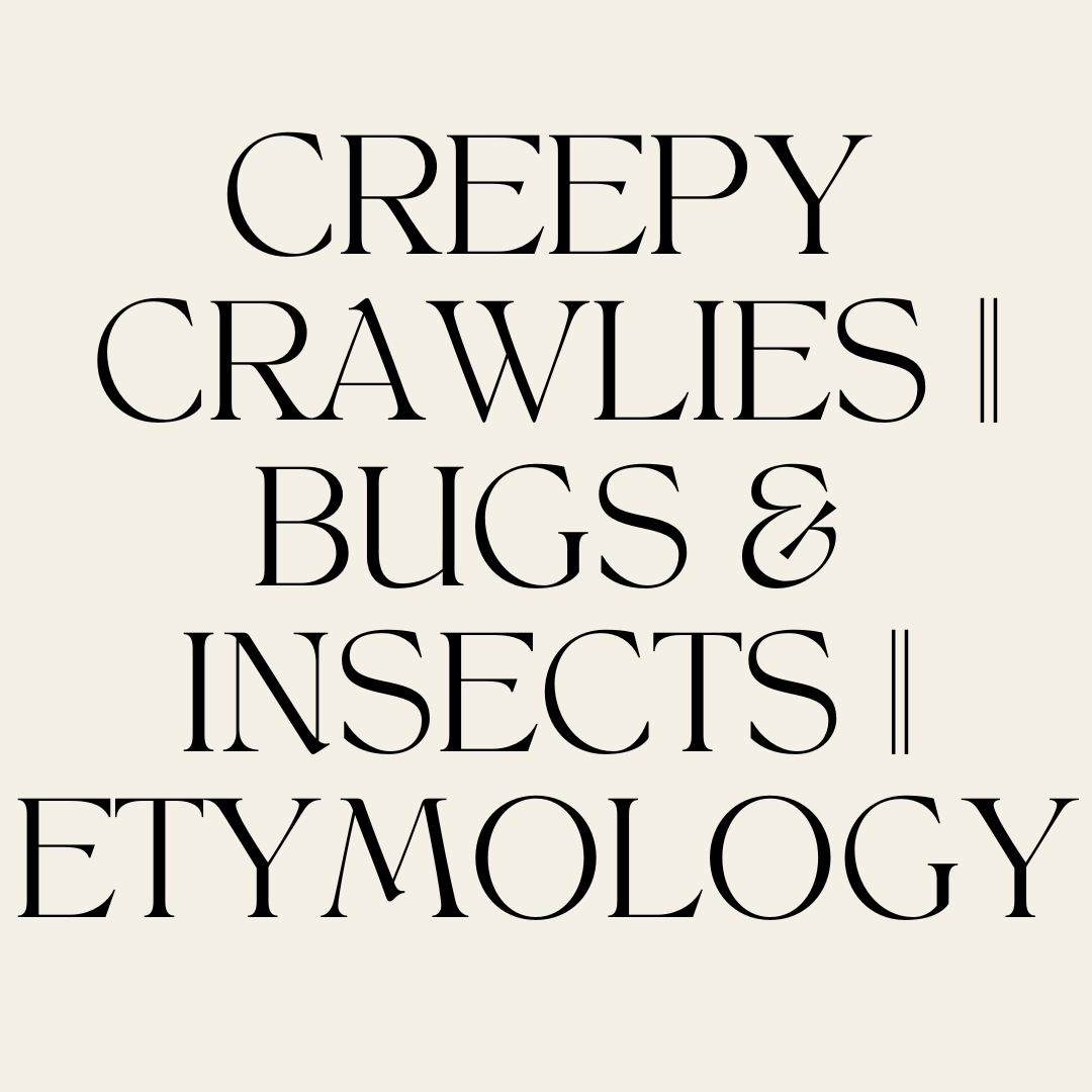 Creepy Crawlies || Bugs & Insects || Etymology - CJECOPLAY Inc.