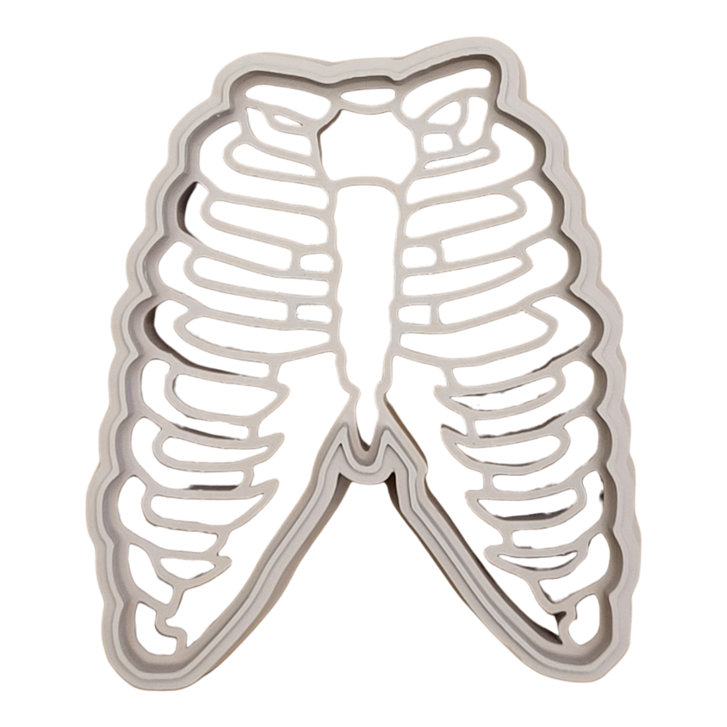 Human Body Parts || Anatomy EcoCutter Collection