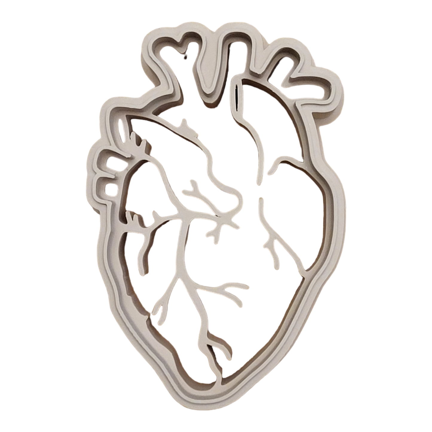 Human Body Parts || Anatomy EcoCutter Collection