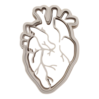 Human Body Parts || Anatomy EcoCutter Collection