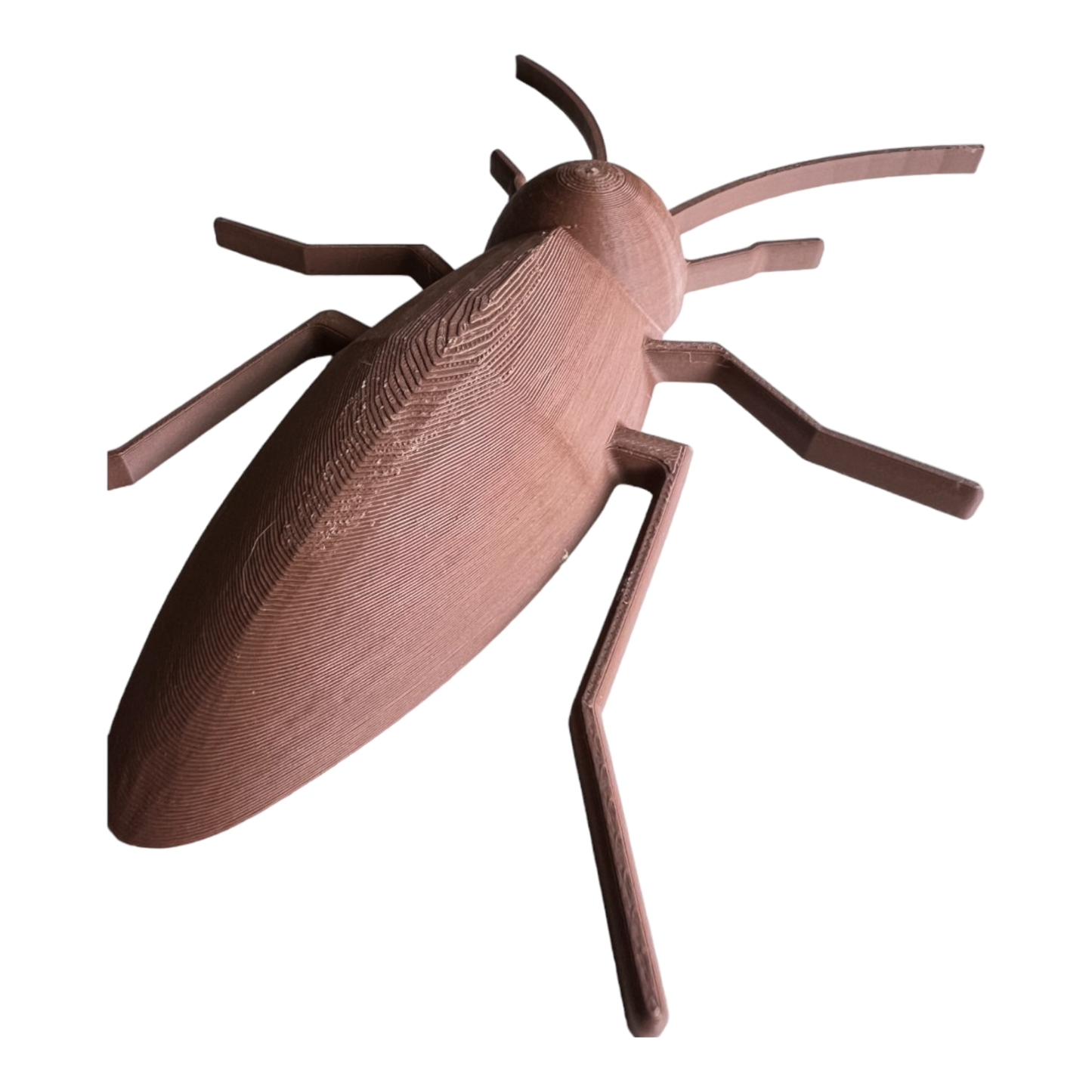 Cockroach Play Mold