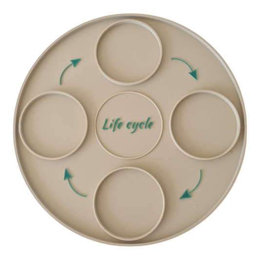 Life Cycle EcoTray