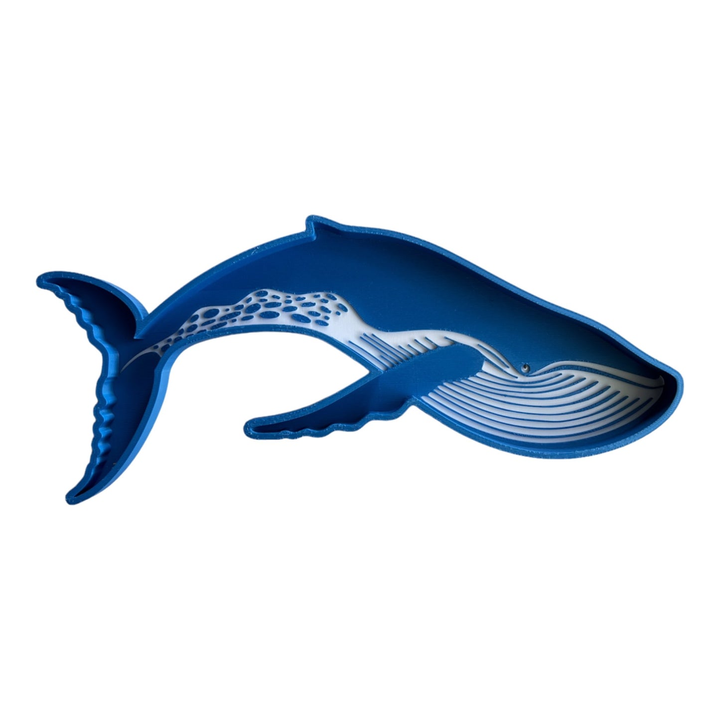 Blue Whale EcoTray - CJECOPLAY Inc.