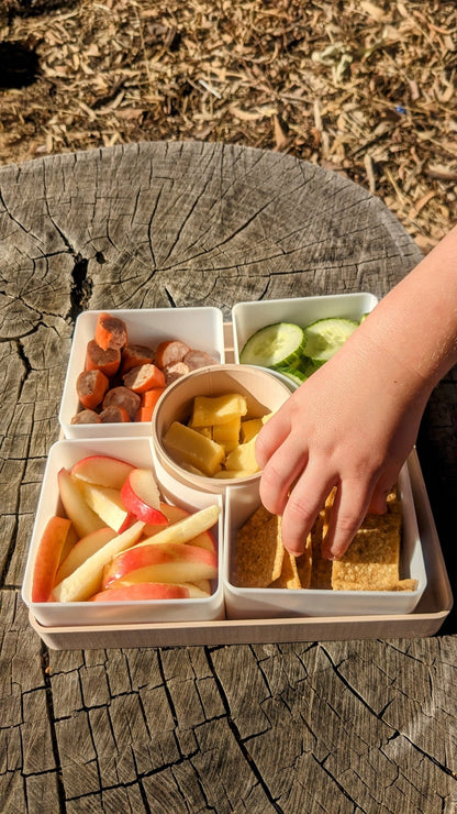 Compartment Tinker EcoTray - CJECOPLAY Inc.