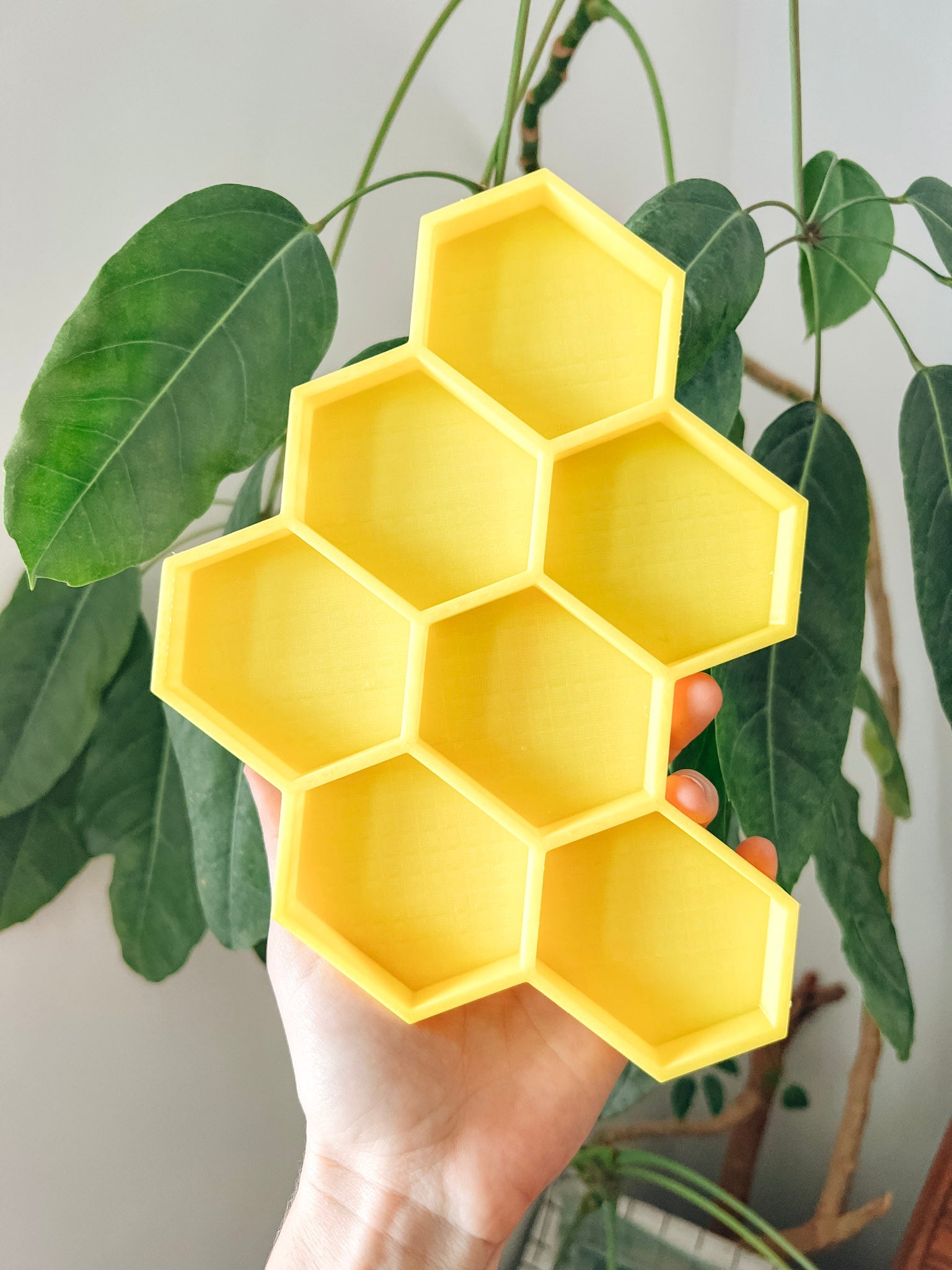 Honey Comb 3D printed Eco - Friendly - Sensory Tray - CJECOPLAY Inc.