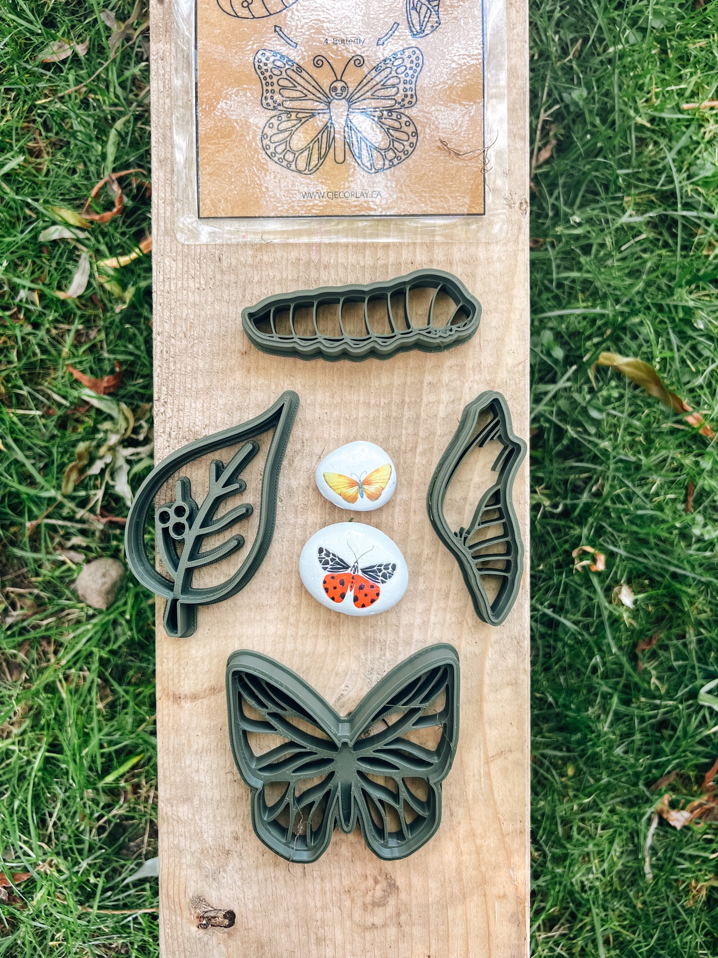 Life Cycle of a Butterfly EcoCutter Collection