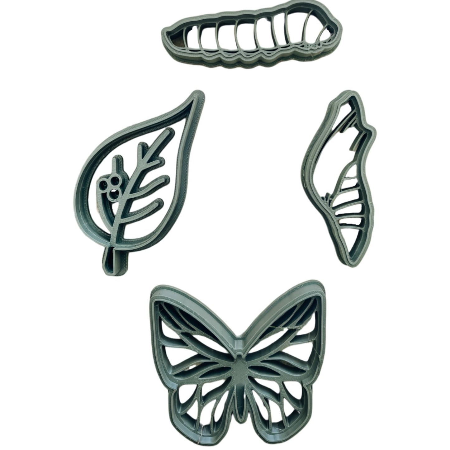 Life Cycle of a Butterfly EcoCutter Collection - CJECOPLAY Inc.