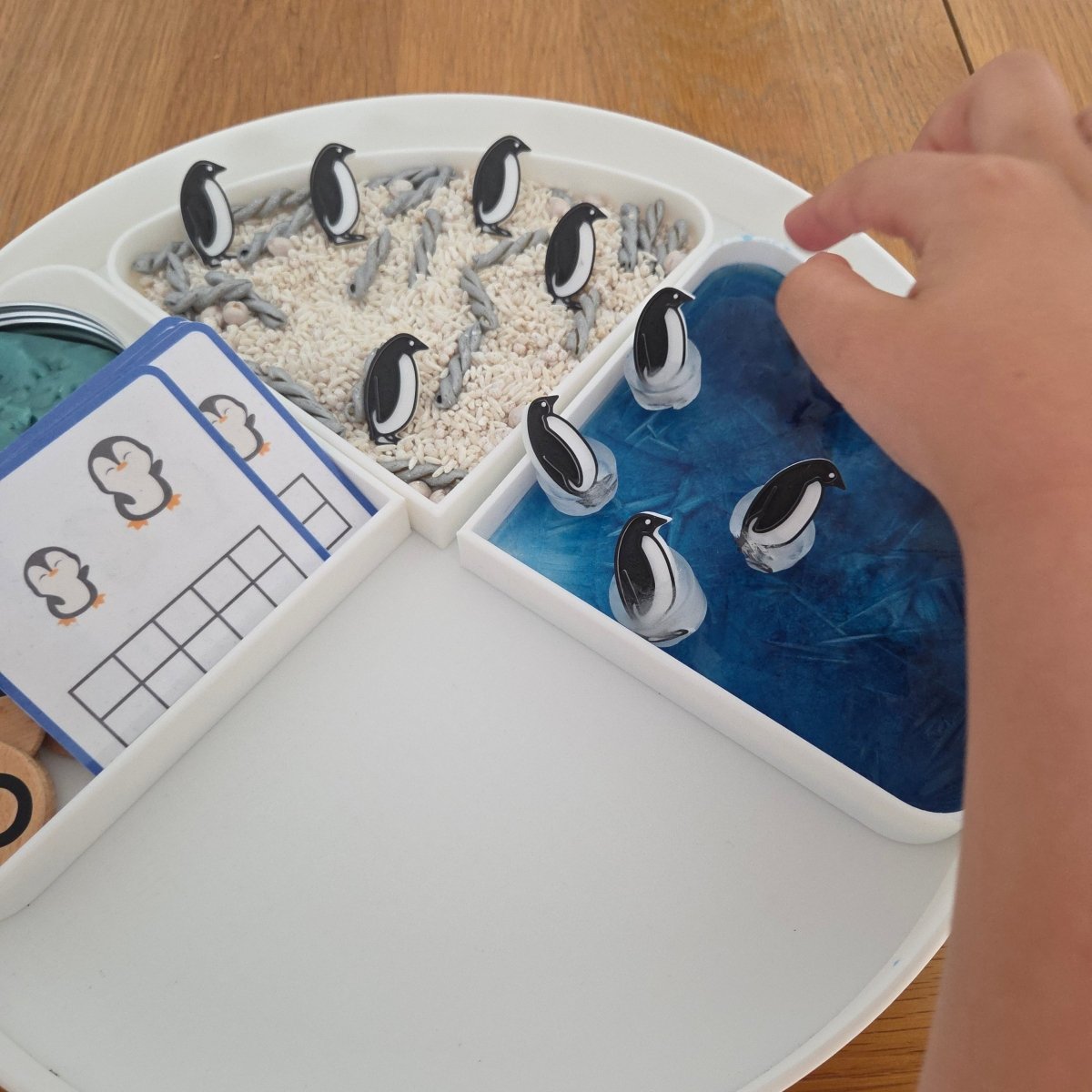 NEW - Circle Play Tray + Inserts + Life Cycle Lid - CJECOPLAY Inc.