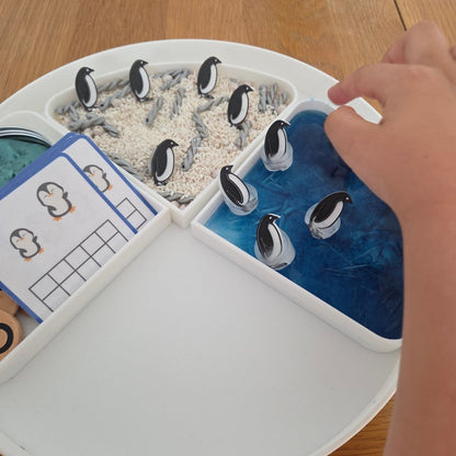 NEW - Circle Play Tray + Inserts + Life Cycle Lid - CJECOPLAY Inc.