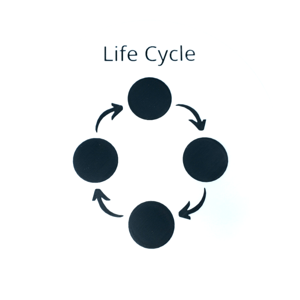 NEW - Circle Play Tray + Inserts + Life Cycle Lid - CJECOPLAY Inc.