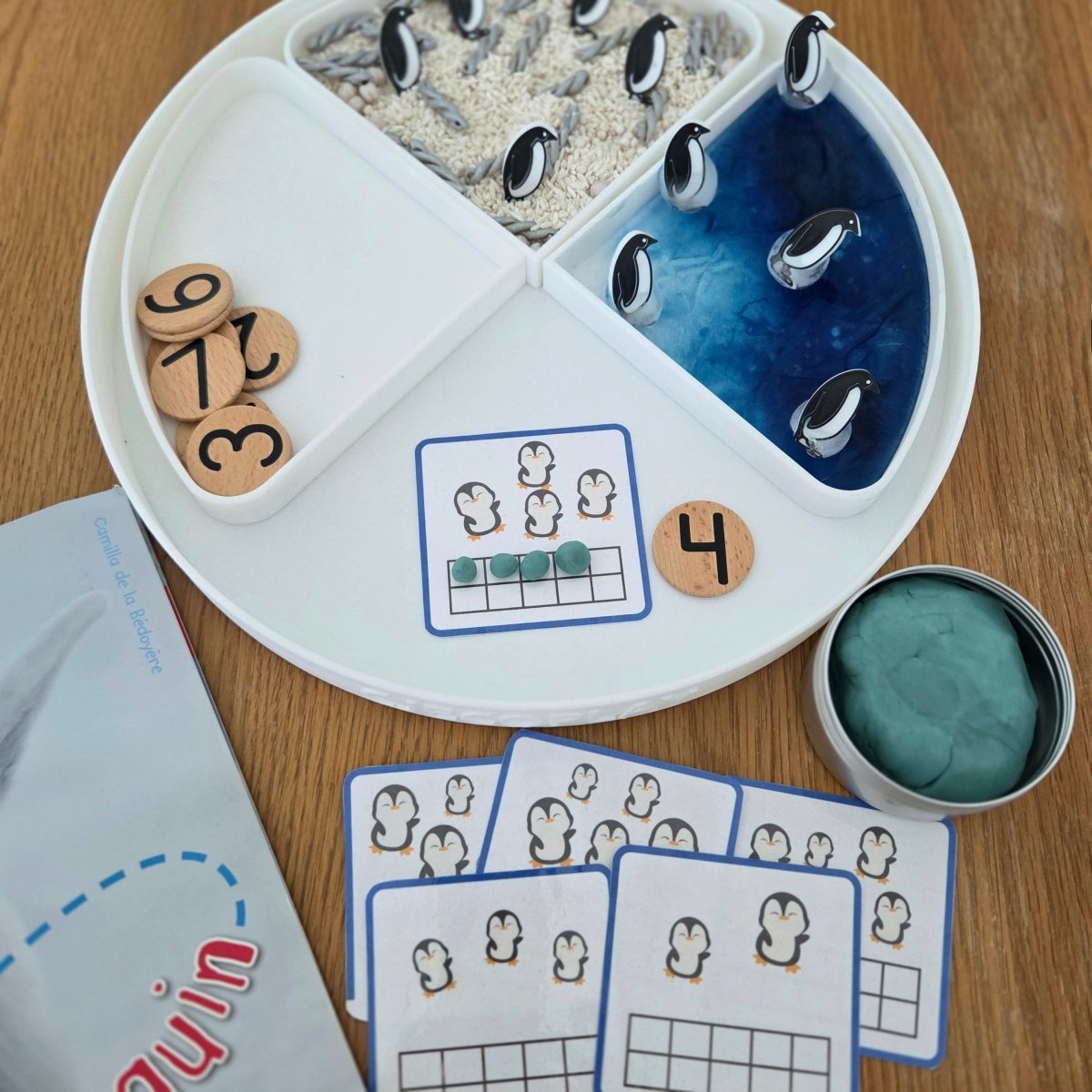 NEW - Circle Play Tray + Inserts + Life Cycle Lid - CJECOPLAY Inc.