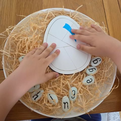 NEW - Circle Play Tray + Inserts + Life Cycle Lid - CJECOPLAY Inc.
