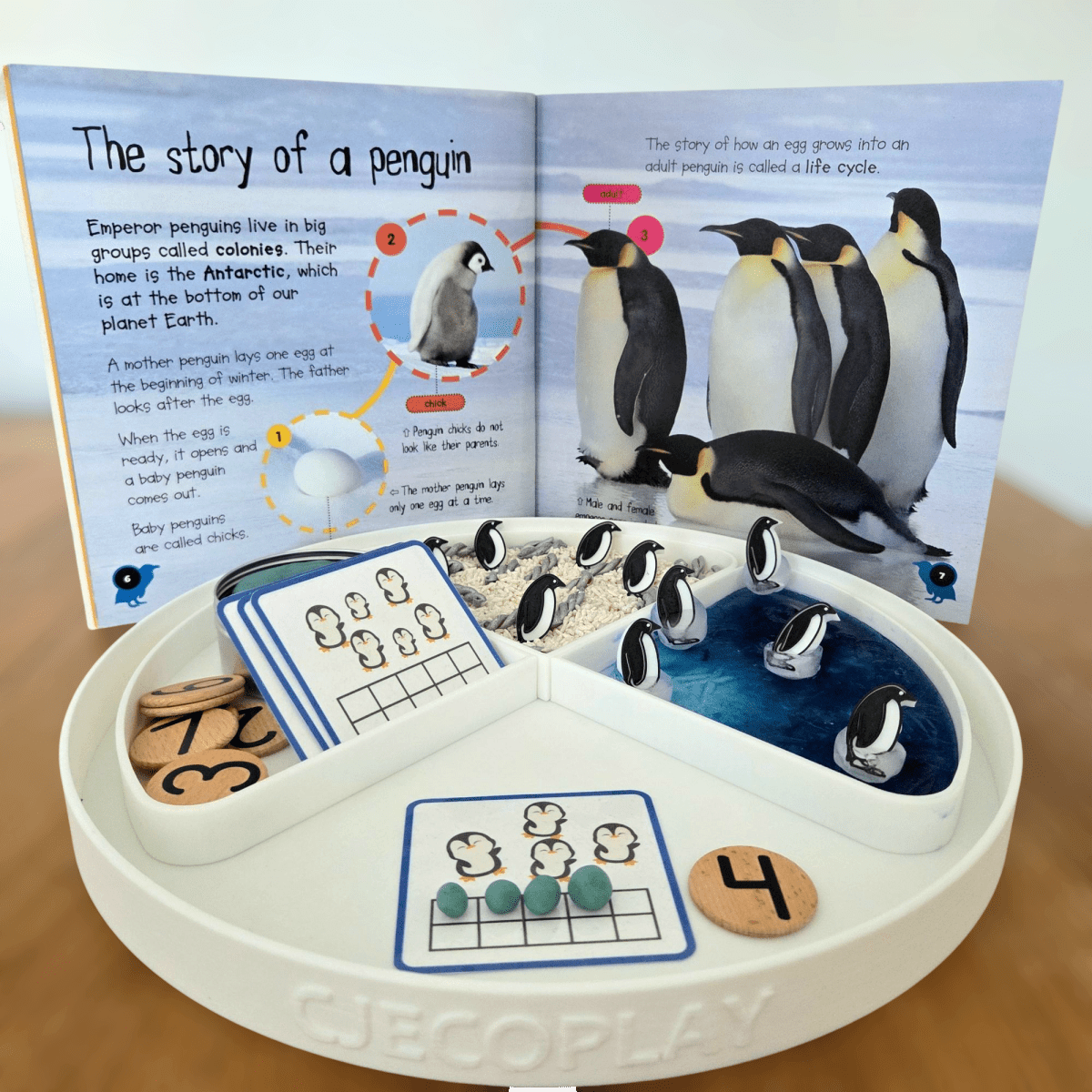 NEW - Circle Play Tray + Inserts + Life Cycle Lid - CJECOPLAY Inc.