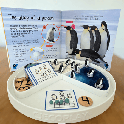 NEW - Circle Play Tray + Inserts + Life Cycle Lid - CJECOPLAY Inc.