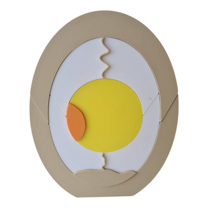 NEW - Egg Anatomy - CJECOPLAY Inc.