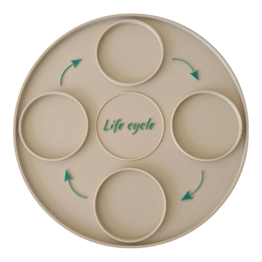 NEW - Multi Use Learning Tools || Life Cycle EcoTray - CJECOPLAY Inc.