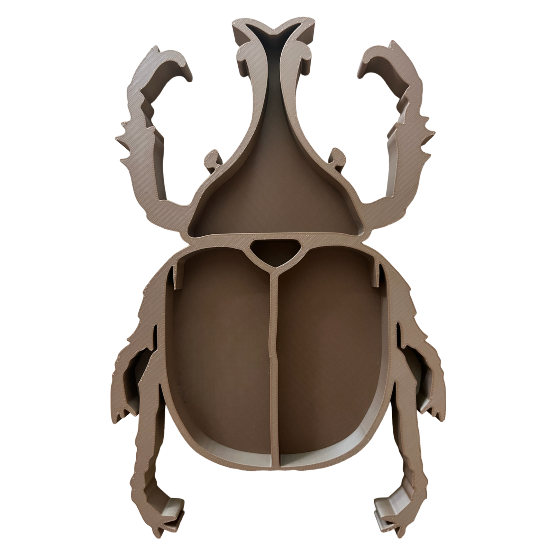 Rhino Beetle || Bug || Insect EcoTray