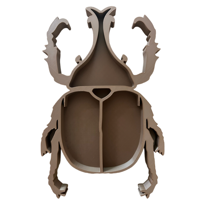 Rhino Beetle || Bug || Insect EcoTray