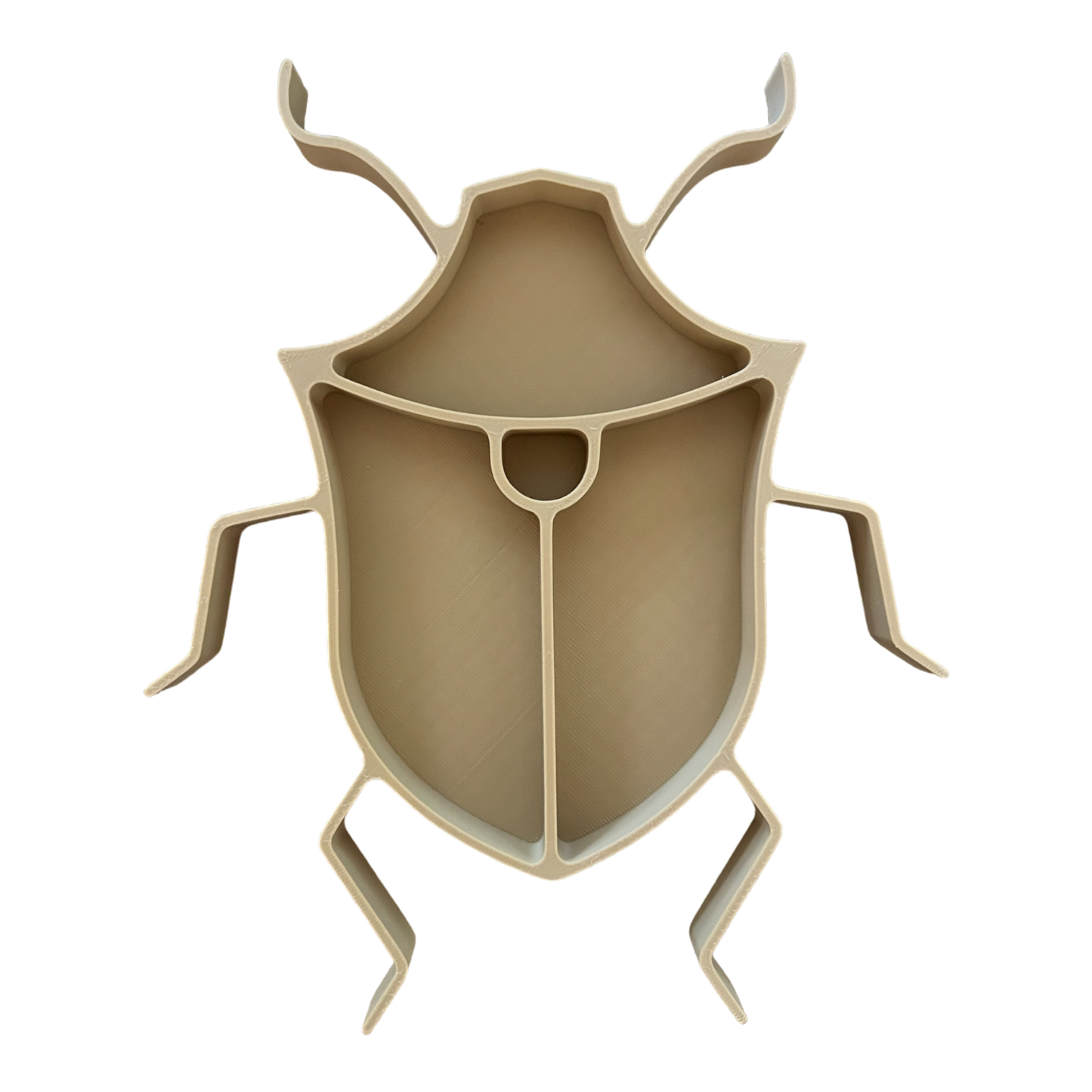 Stink Bug || Beetle || Insect EcoTray
