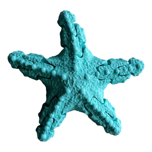 Starfish EcoFriend - CJECOPLAY Inc.