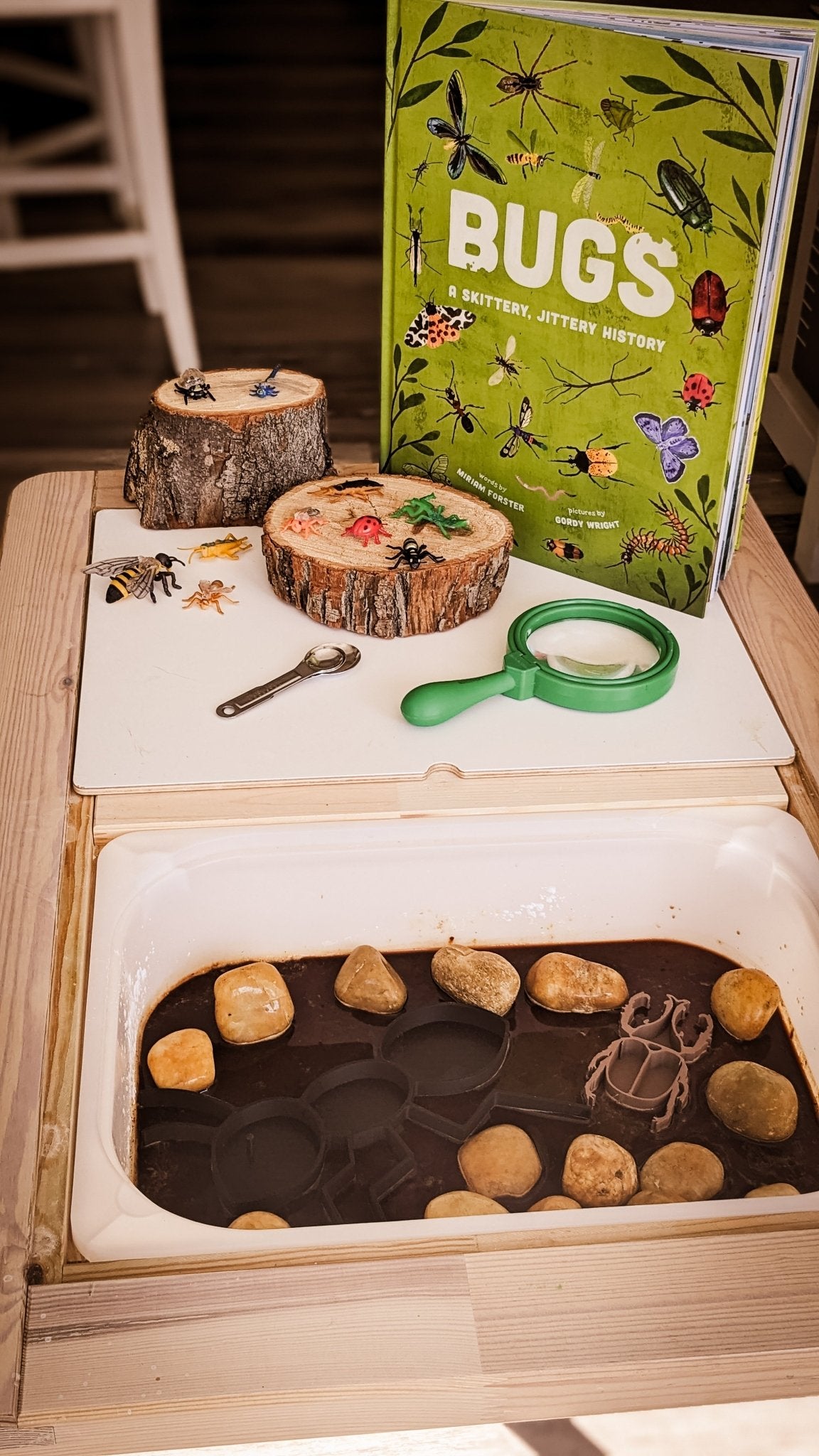 Stink Bug || Beetle || Insect EcoTray - CJECOPLAY Inc.